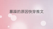 暴躁的原因快穿推文 好看的推文快穿文