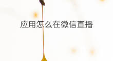 应用怎么在微信直播 应用怎么在微信直播上传