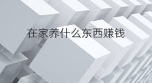 在家养什么东西赚钱 在家养啥赚钱