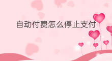 自动付费怎么停止支付 自动付费怎么停止