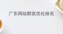 广东网站群发优化排名 广东b2b群发优化