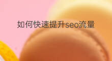 如何快速提升seo流量 如何快速提升社群流量