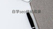 自学seo优化收录 seo自学优化教程收录