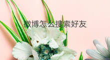 微博怎么搜索好友 微博怎么加好友