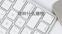 地种什么赚钱 一亩地种什么最赚钱