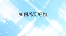 如何养狗好物 养流量狗如何变现赚钱