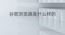 谷歌浏览器是什么样的 谷歌的什么浏览器