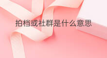 拍档或社群是什么意思 社群知识是什么意思