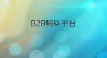B2B哪些平台 b2b平台都有哪些