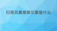 扫黑风暴搜索引擎是什么 搜索引擎bingo是什么