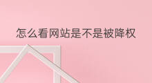 怎么看网站是不是被降权 怎么看淘宝卖家是不是降权