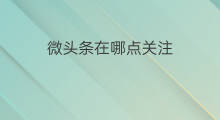 微头条在哪点关注 怎样关注微头条