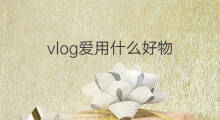 vlog爱用什么好物 夏天爱用什么好物好