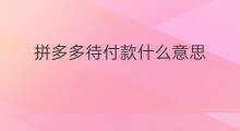 拼多多待付款什么意思 拼多多什么付款