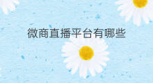 微商直播平台有哪些 微商平台有哪些