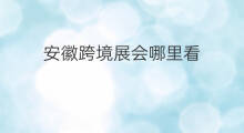 安徽跨境展会哪里看 安徽跨境展会哪里有