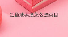 红鱼速卖通怎么选类目 速卖通卖食品选什么类目