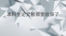 本科生论文被哪里收录了 本科生跨境电商好做吗
