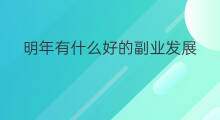 明年有什么好的副业发展 每年有什么副业赚钱