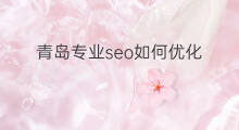 青岛专业seo如何优化 青岛SEO优化