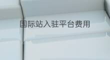国际站入驻平台费用 独立站入驻费用