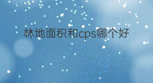 林地面积和cps哪个好 汽车cps哪个好