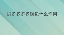 拼多多多多钱包什么作用 拼多多多多钱包密码是什么