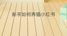 新手如何养猫小红书 现在养猫赚钱吗