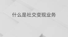 什么是社交变现业务 业务如何社交