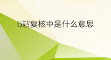 b站复核中是什么意思 b站是什么意思啊