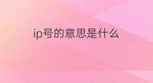 ip号的意思是什么 ip的协议号是什么意思