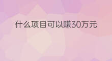 什么项目可以赚30万元 什么项目可以赚30万元钱