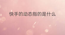快手的动态指的是什么 快手动态活跃指的是啥