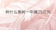 种什么果树一年赚25万元 种什么一年赚30万元