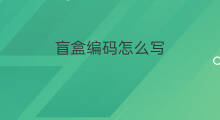盲盒编码怎么写 手杖盲盒怎么写