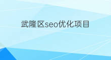 武隆区seo优化项目 武隆区seo优化趋势
