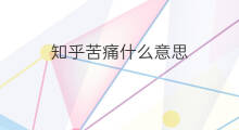 知乎苦痛什么意思 刷知乎是什么意思