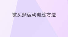 微头条运动训练方法 微头条新手训练方法