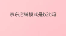 京东店铺模式是b2b吗 B2B模式与移动B2B模式区别