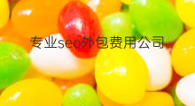 专业seo外包费用公司 长春seo外包费用公司