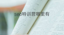 seo特训营哪里有 快手特训是真的吗吗