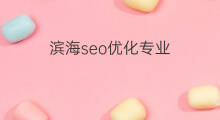 滨海seo优化专业 滨海seo优化咨询