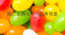 陈厂长孵化个人ip养号是真的吗 陈厂长如何起号