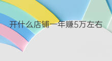 开什么店铺一年赚5万左右 什么人一年赚5万