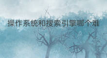 操作系统和搜索引擎哪个难 搜索引擎行业难吗