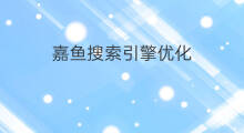 嘉鱼搜索引擎优化 搜索引擎搜索优化