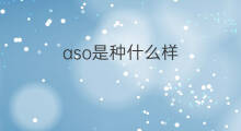 aso是种什么样 aso酒是什么样的
