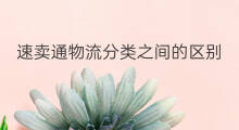 速卖通物流分类之间的区别 速卖通菜鸟物流分类