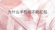为什么手机收不到红包 手机收不到红包怎么办