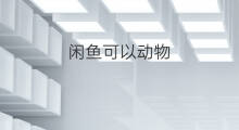 闲鱼可以动物 闲鱼可以a